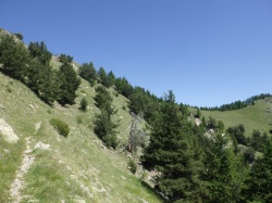 Baisse de la Palu