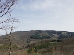 Bourgogne