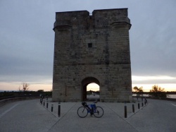 Camargue