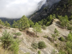Col de la Moute