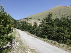 Cols aux Millefonts