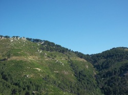 Corse 2010