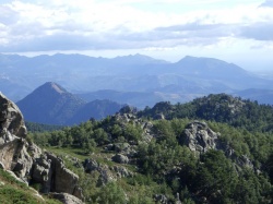 Corse 2020