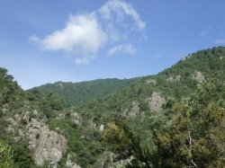 Corse 2023