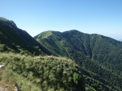 Dea Ceva