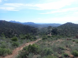Esterel Font Sante