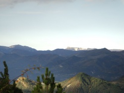 Mont Brune
