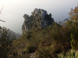 Mortola