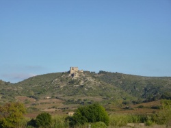 Pyrenees Corbieres