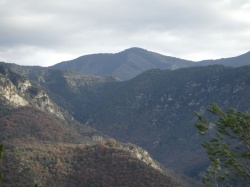 Tournefort Massoins