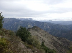Tretore